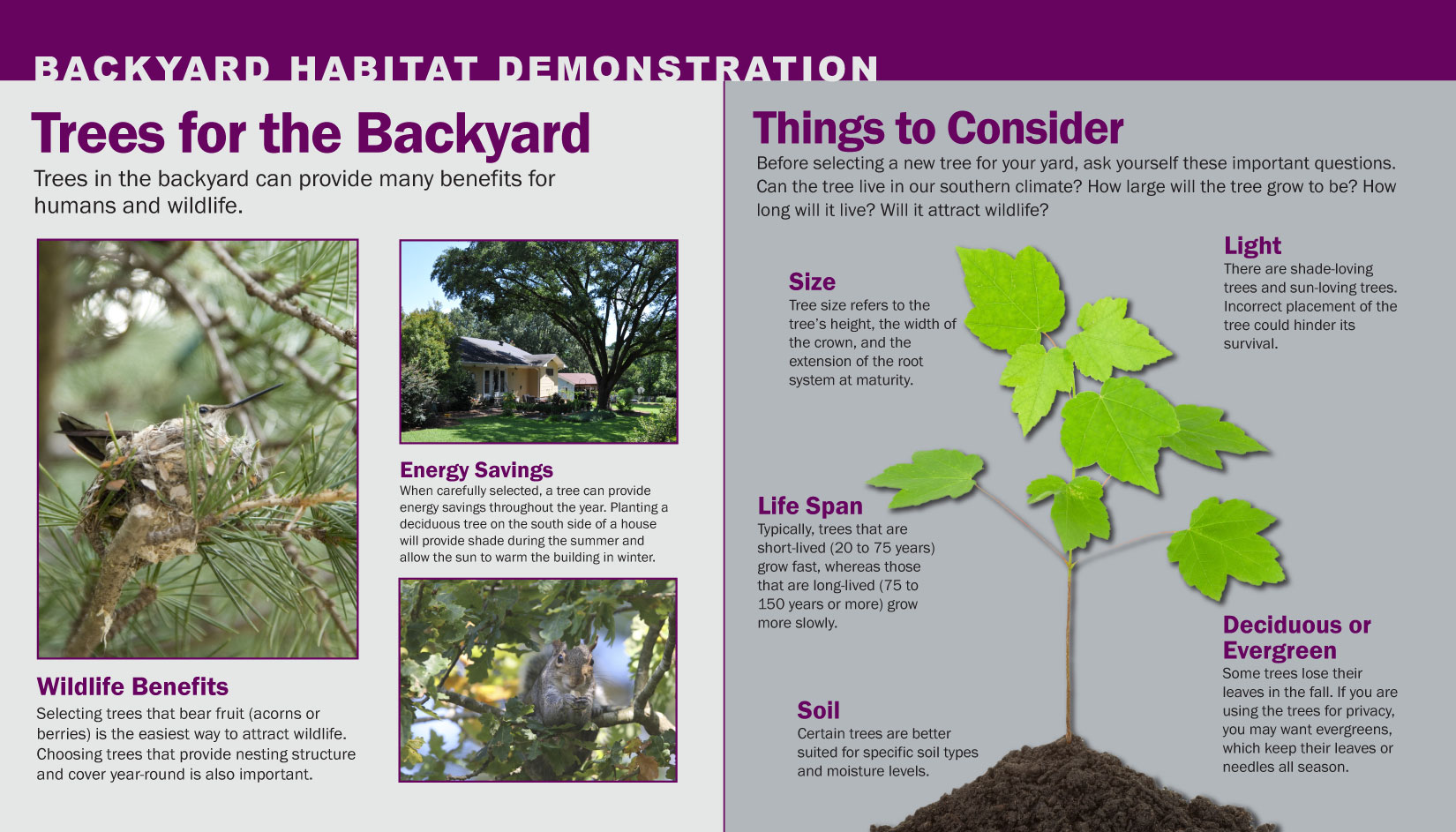 Backyard Habitat Demonstration Signs - Kathy Jacobs Design & Marketing