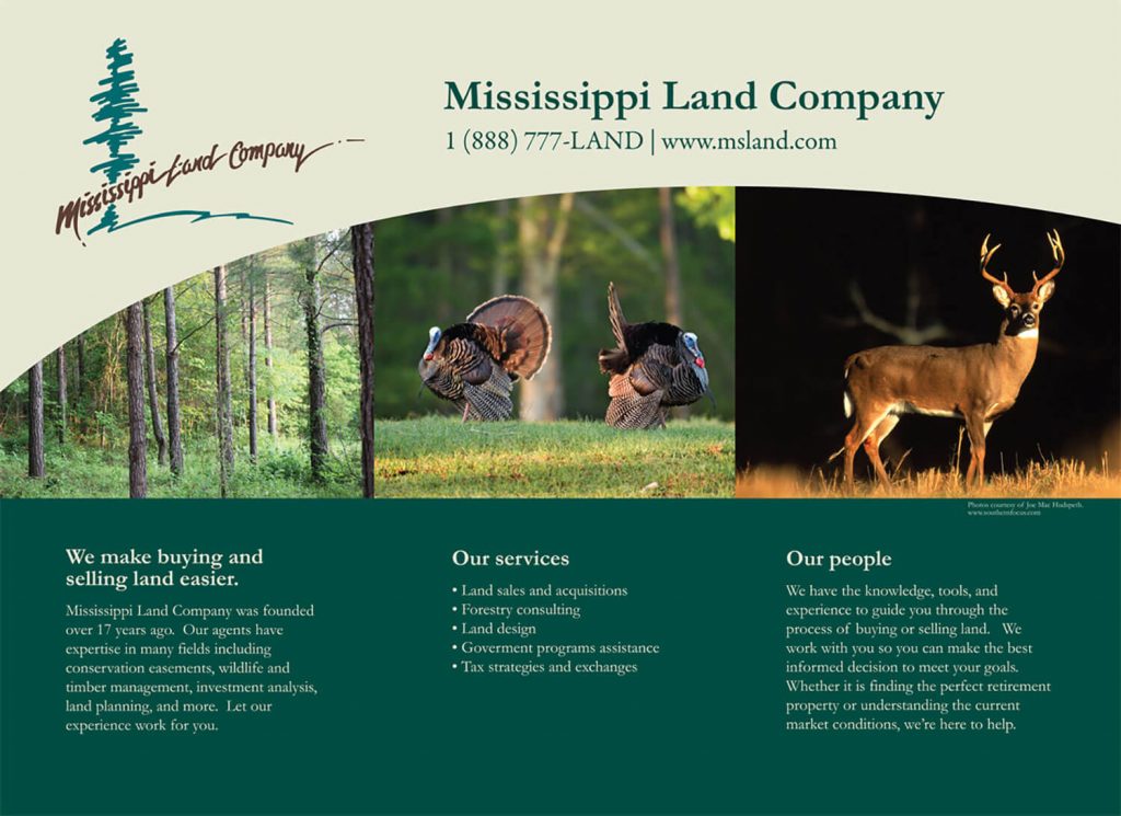 Mississippi Land Company Display