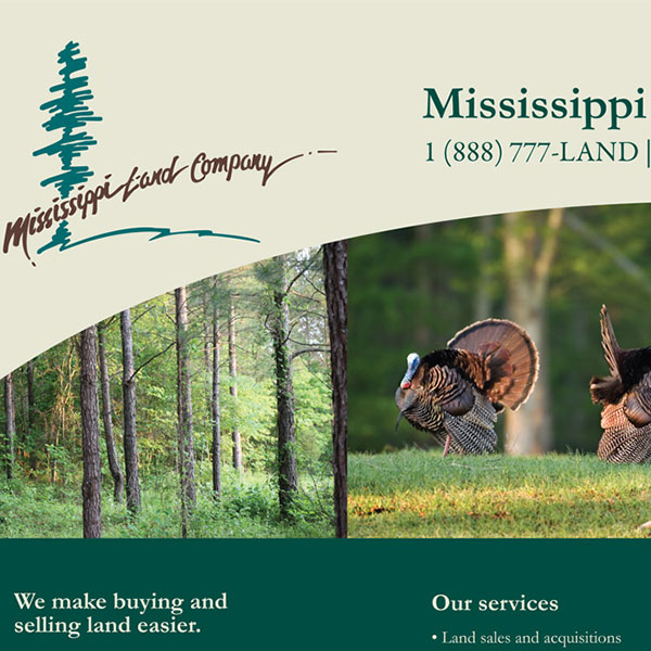 Display Design for Mississippi Land Company