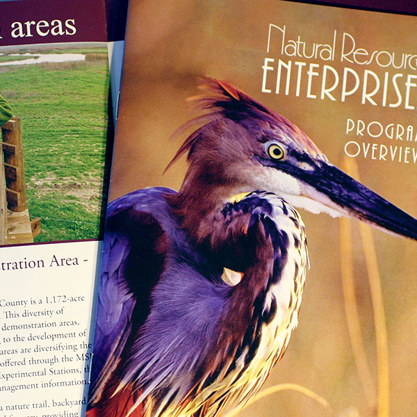 Program Overview Booklet for Natural Resource Enterprises Program