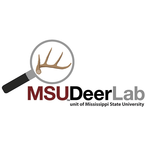 Deer Lab Logo Design