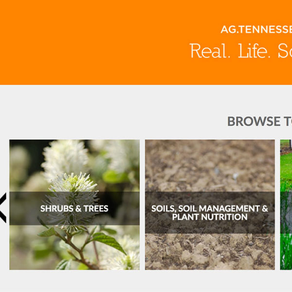 Plant Sciences Horticulture Website