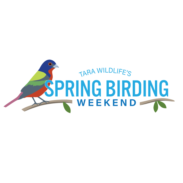 Spring Birding Weekend Logo Design