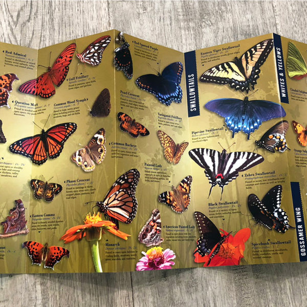 Butterflies of the Mississippi Delta Brochure