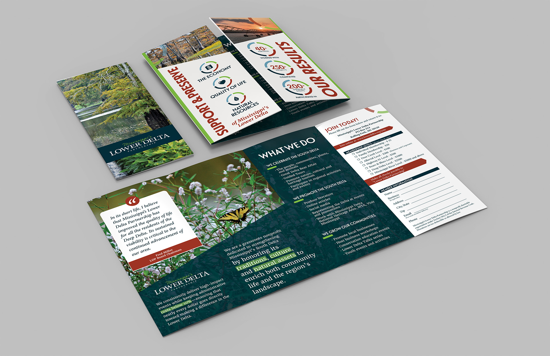 Brochure design for the Lower Delta Partnesrhip