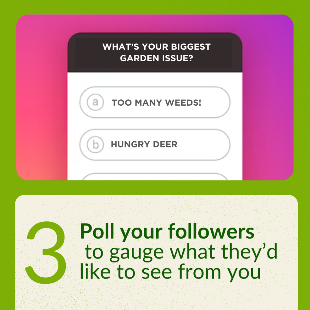 Poll your followers to gauge what they'd like to see from you