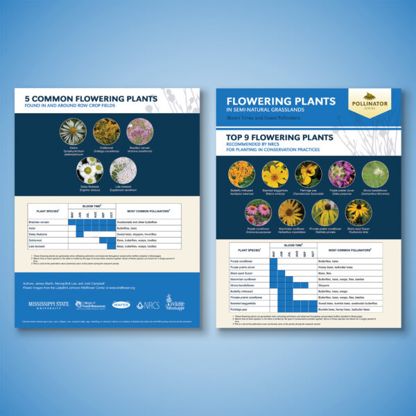 Flowering Plants in Semi-Natural Grasslands Flyer