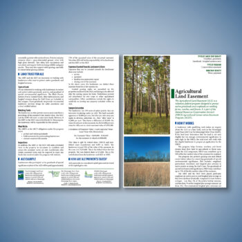 Agricultural Land Easement Flyer