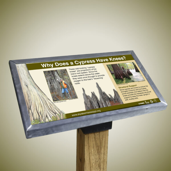 Why does a Cypress Have Knees? Outdoor Interpretive Sign