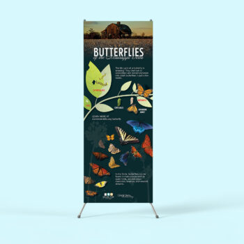 Butterflies of the Mississippi Delta Banner Stand