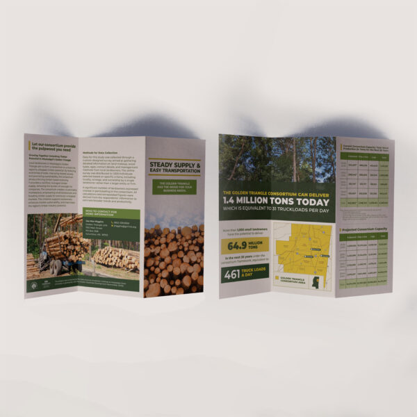 Golden Triangle Brochure