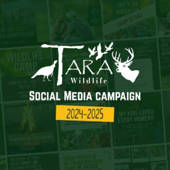 Tara Wildlife Summer Camp Social Media Campaign