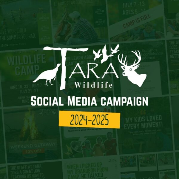 Tara Wildlife Summer Camp Social Media Campaign
