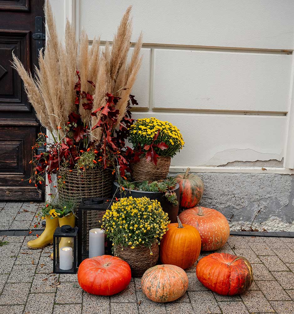 Fall decor with mums and pumpkins