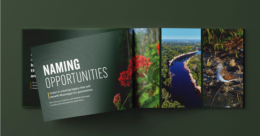 Fannye Cook Natural Area Naming Opportunities Book