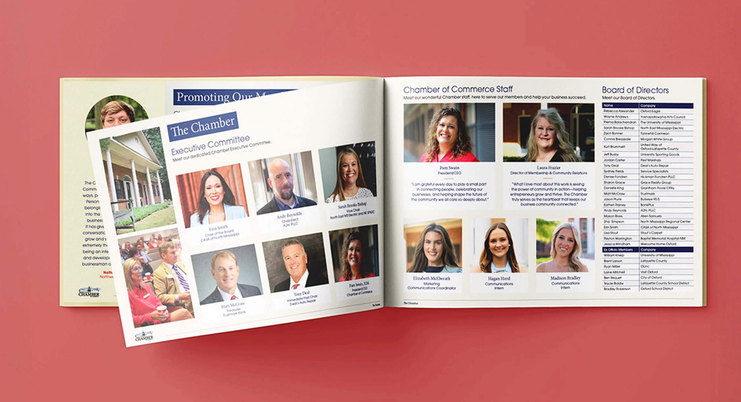 open view of the annual report book