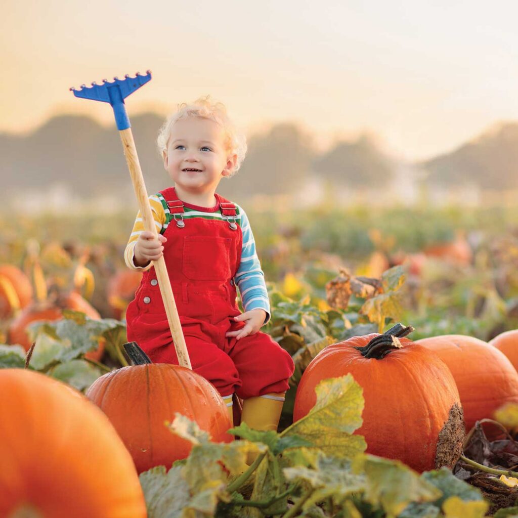 Young boy sitting on a pumpkin in the pumpkin patch